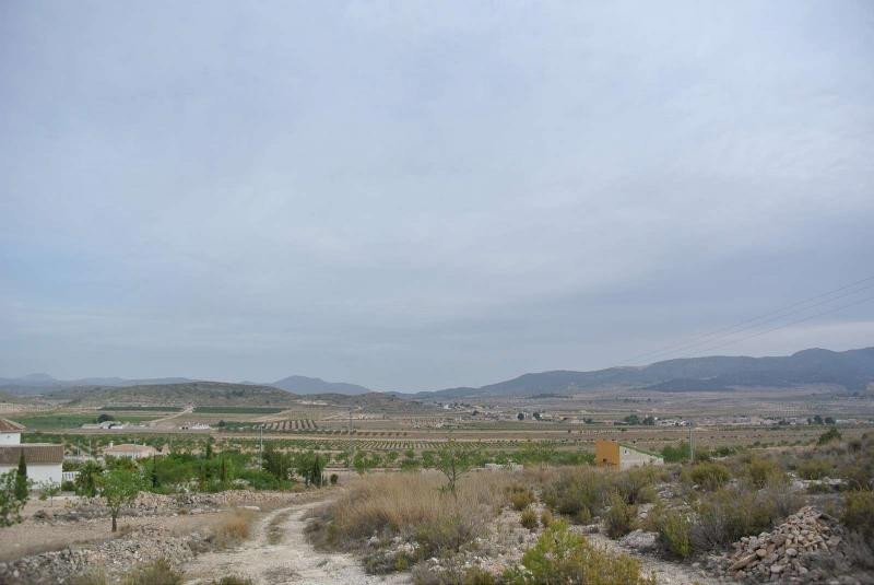 07 photo