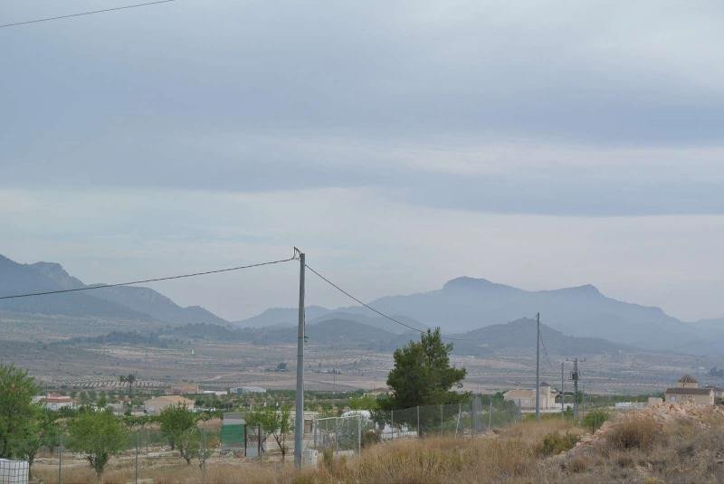 13 photo