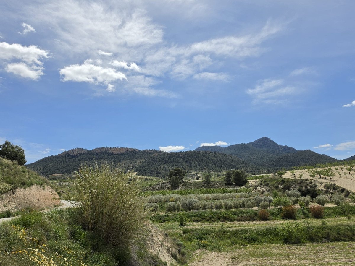 2 Bed Cave House in La Zarza في La Zarza, 