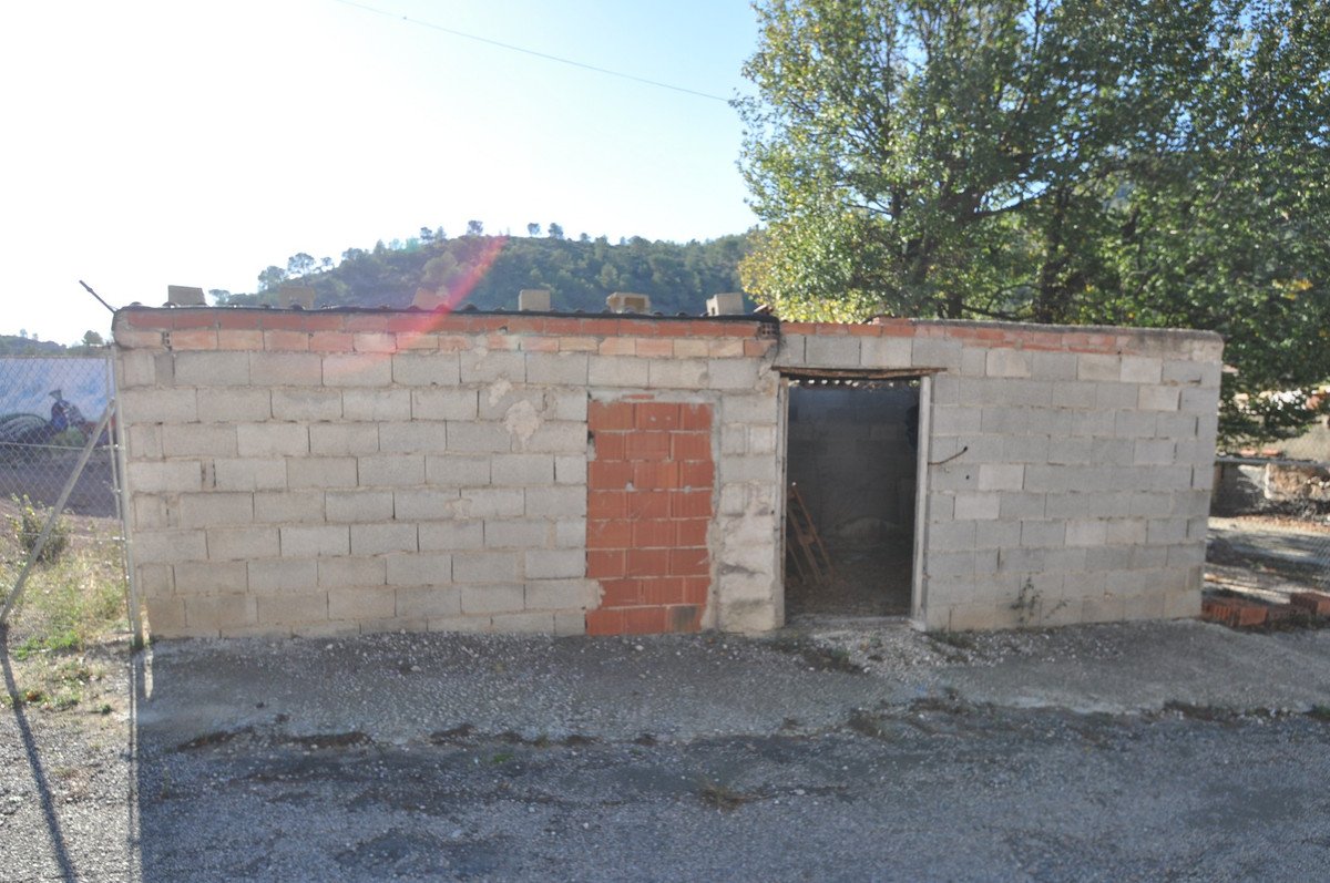 06 photo