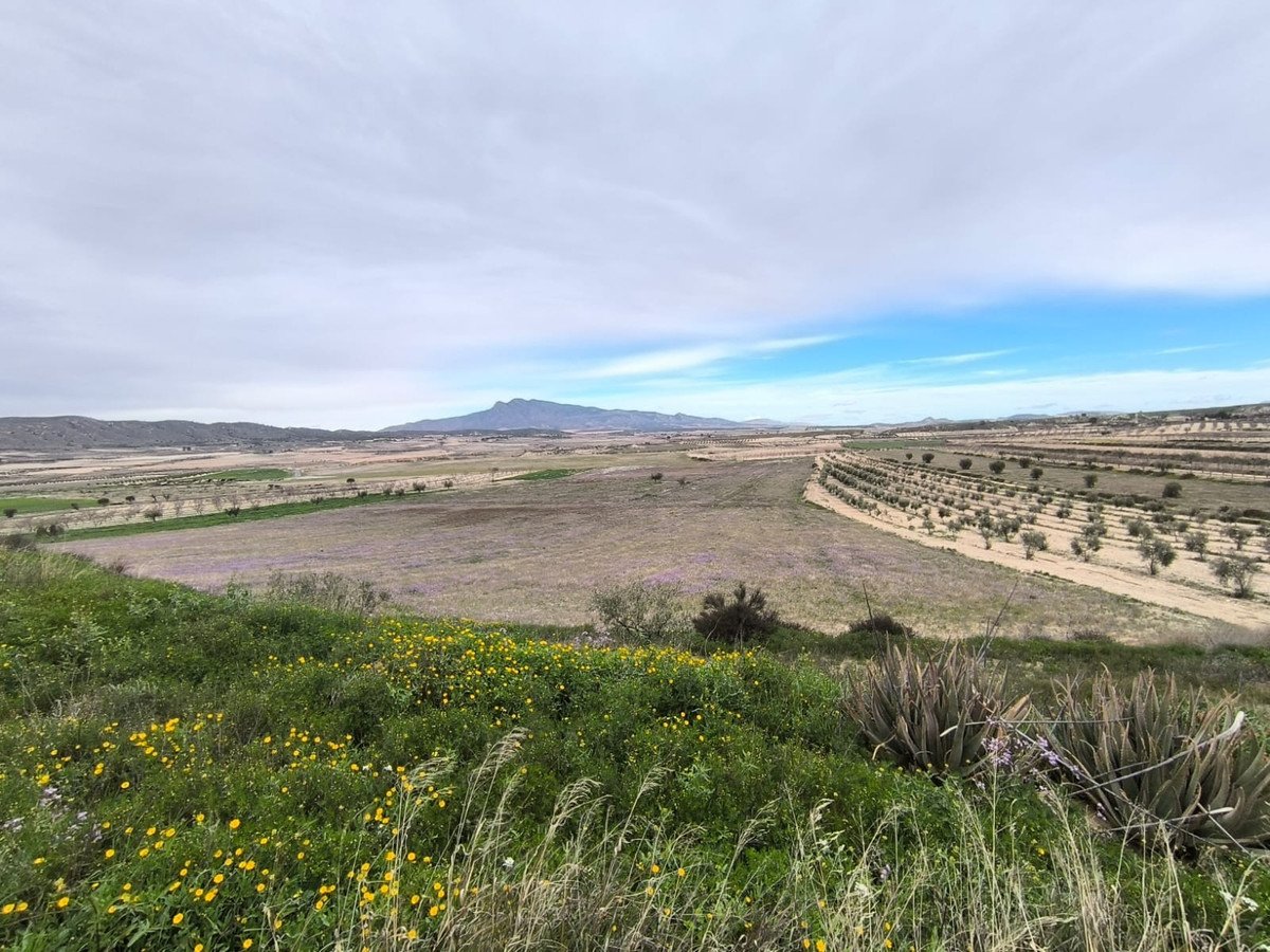 6 Bed Finca in La Zarza in La Zarza, 