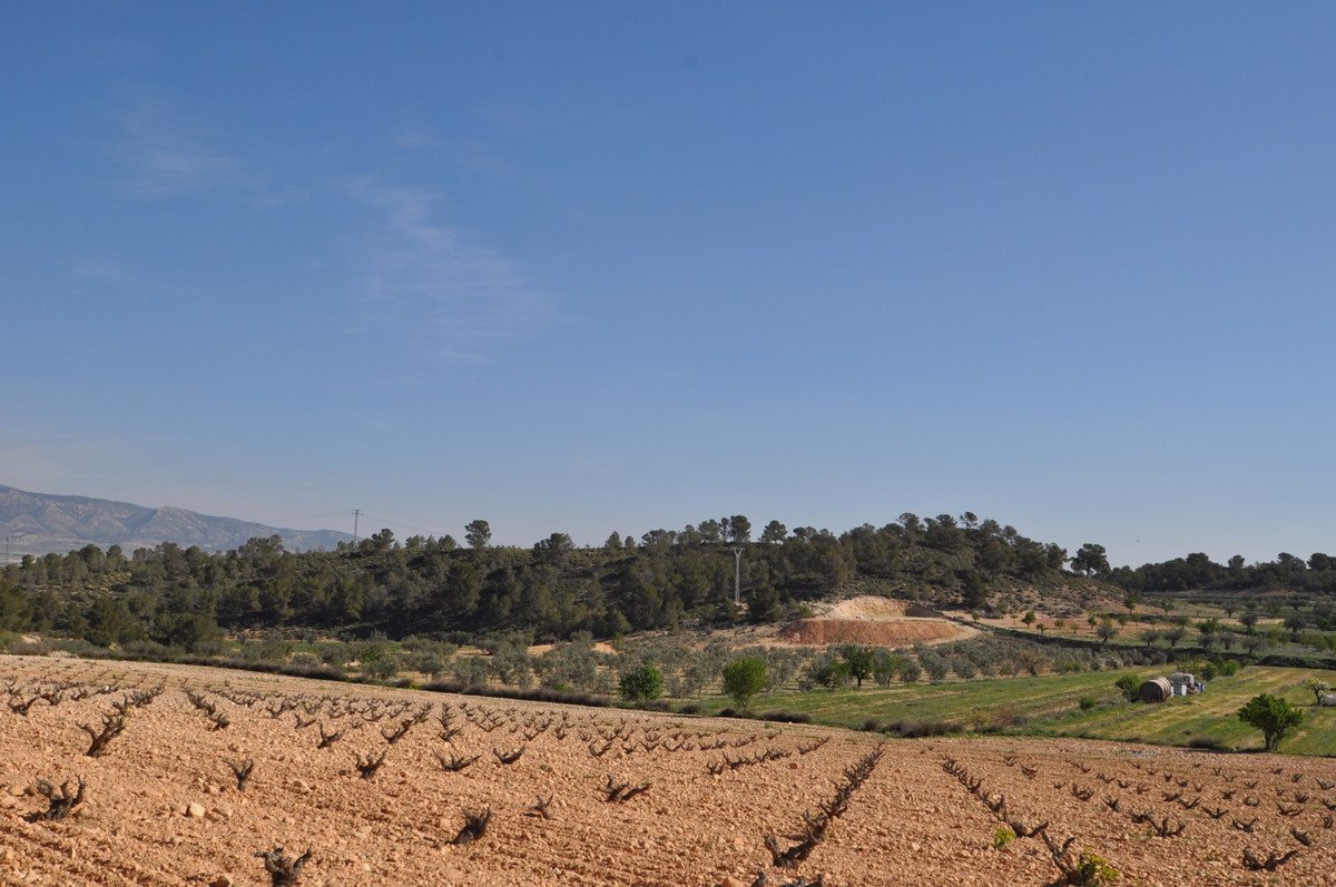 Land in La Zarza في La Zarza, 