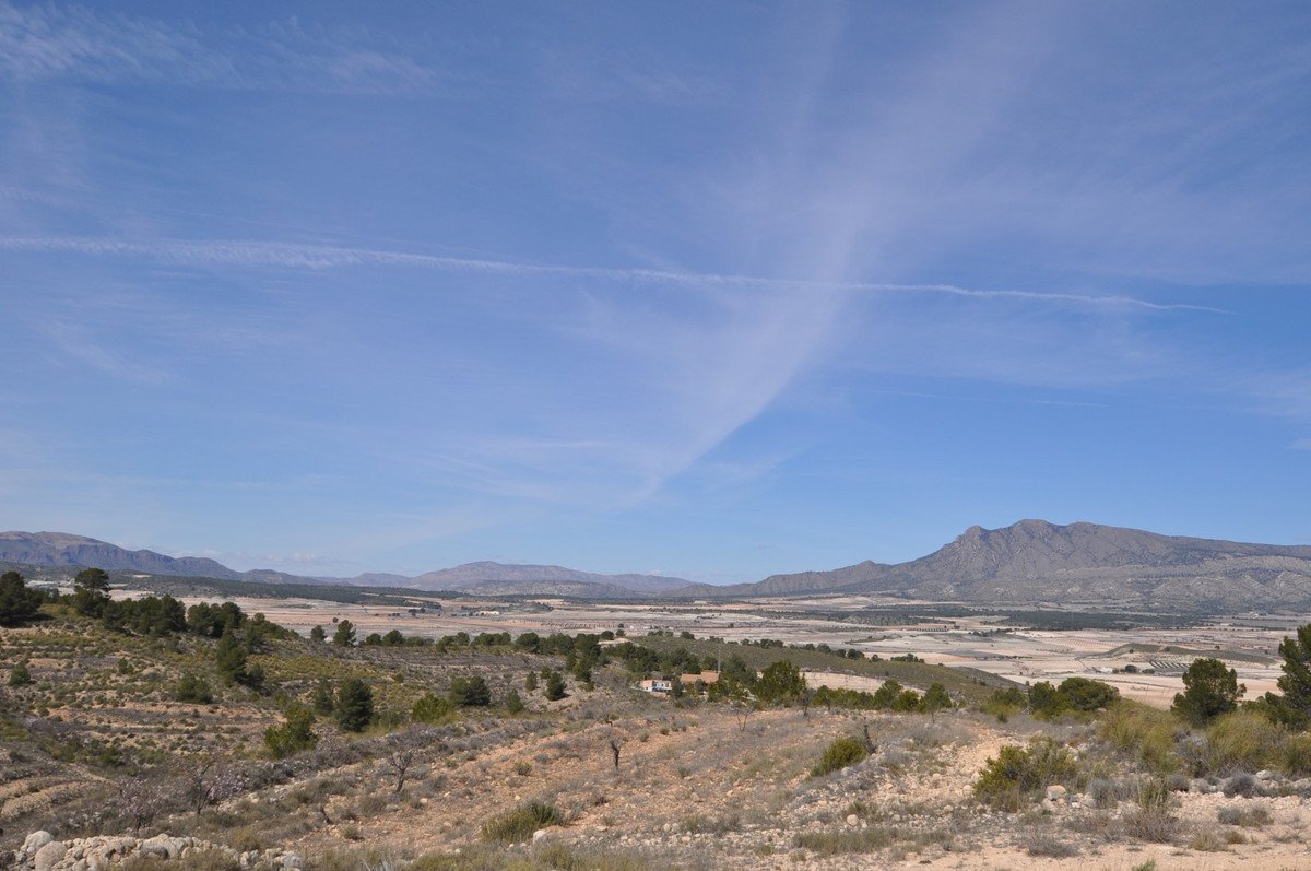 03 photo