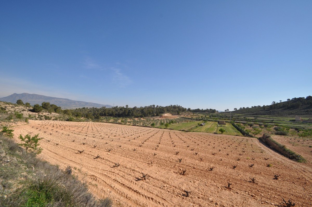 05 photo