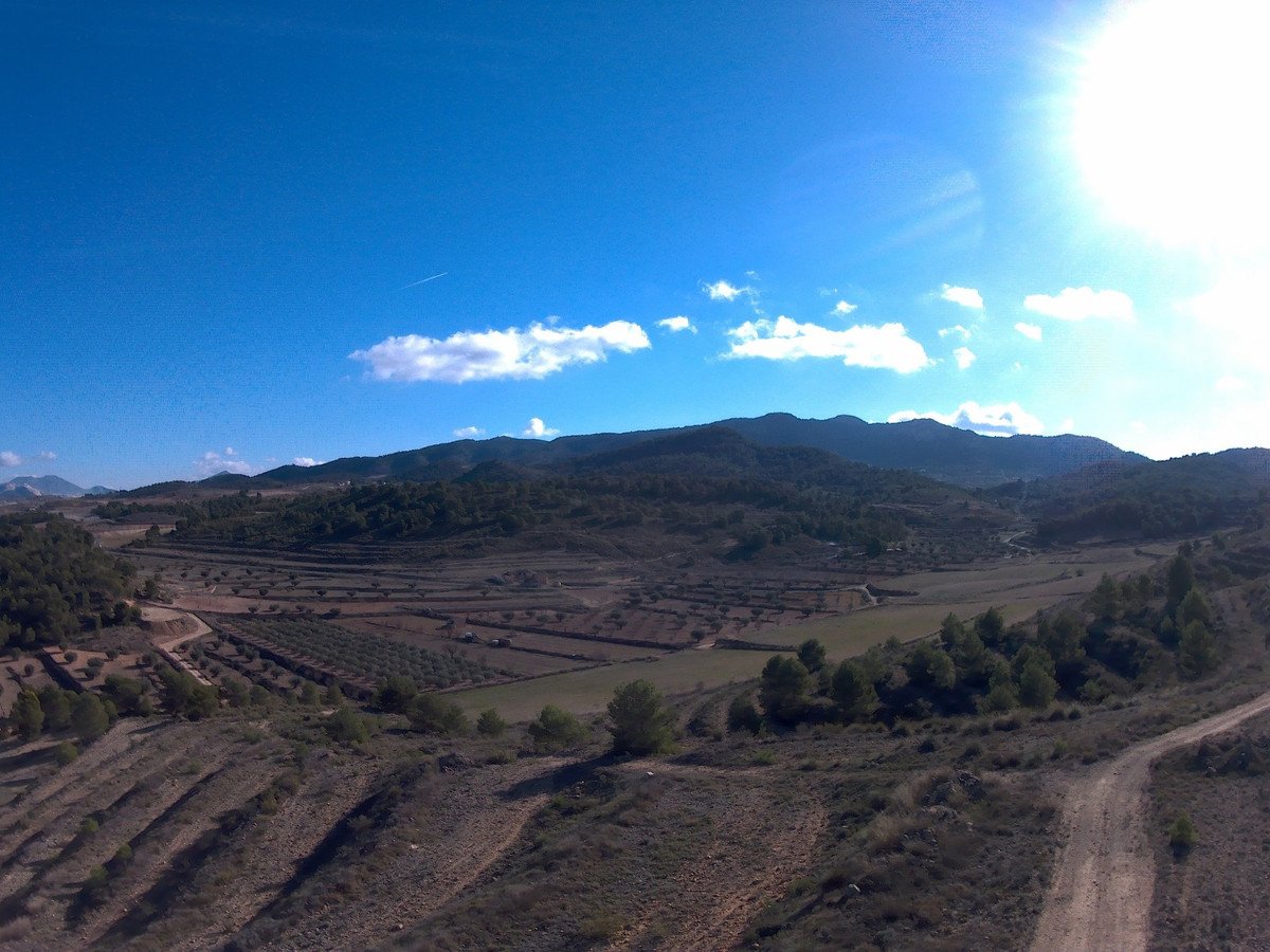 Luchtfoto landschap met terrasvelden en bergen.