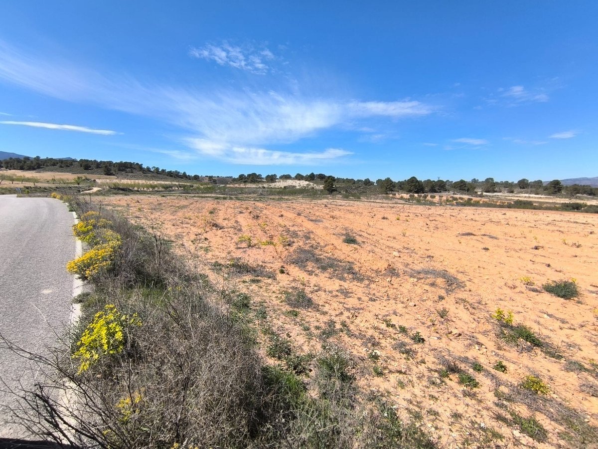 Land in La Zarza في La Zarza, 