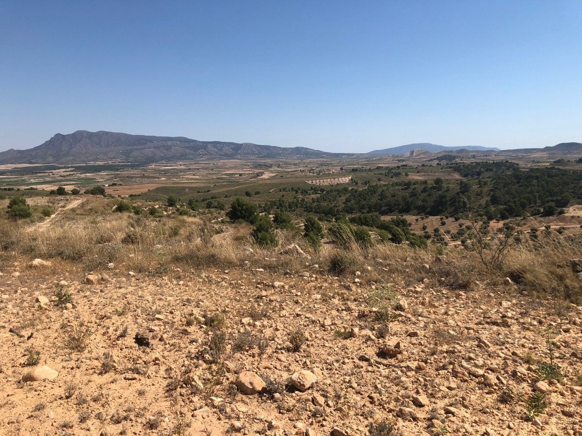 Land in La Zarza in La Zarza, 