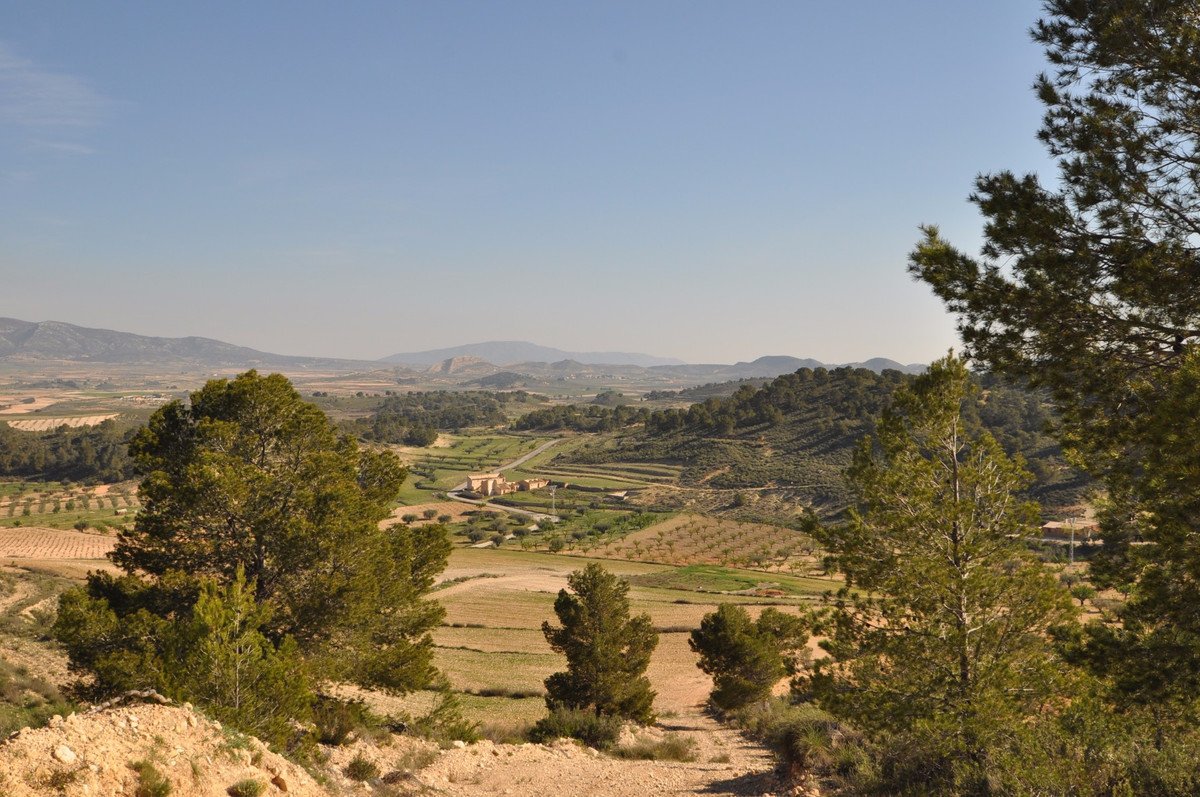 Land in La Zarza in La Zarza, 
