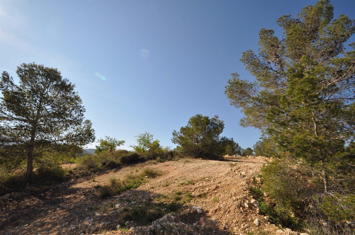 06 photo