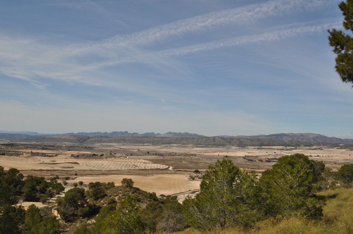 Land in La Zarza في La Zarza, 