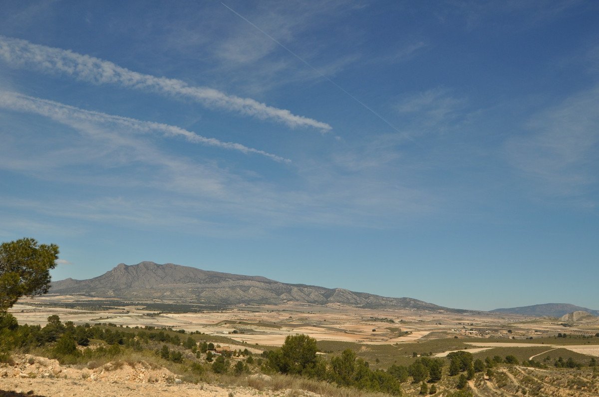 05 photo