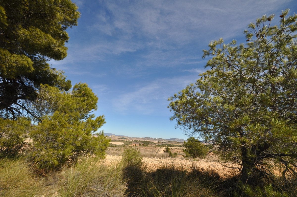 06 photo