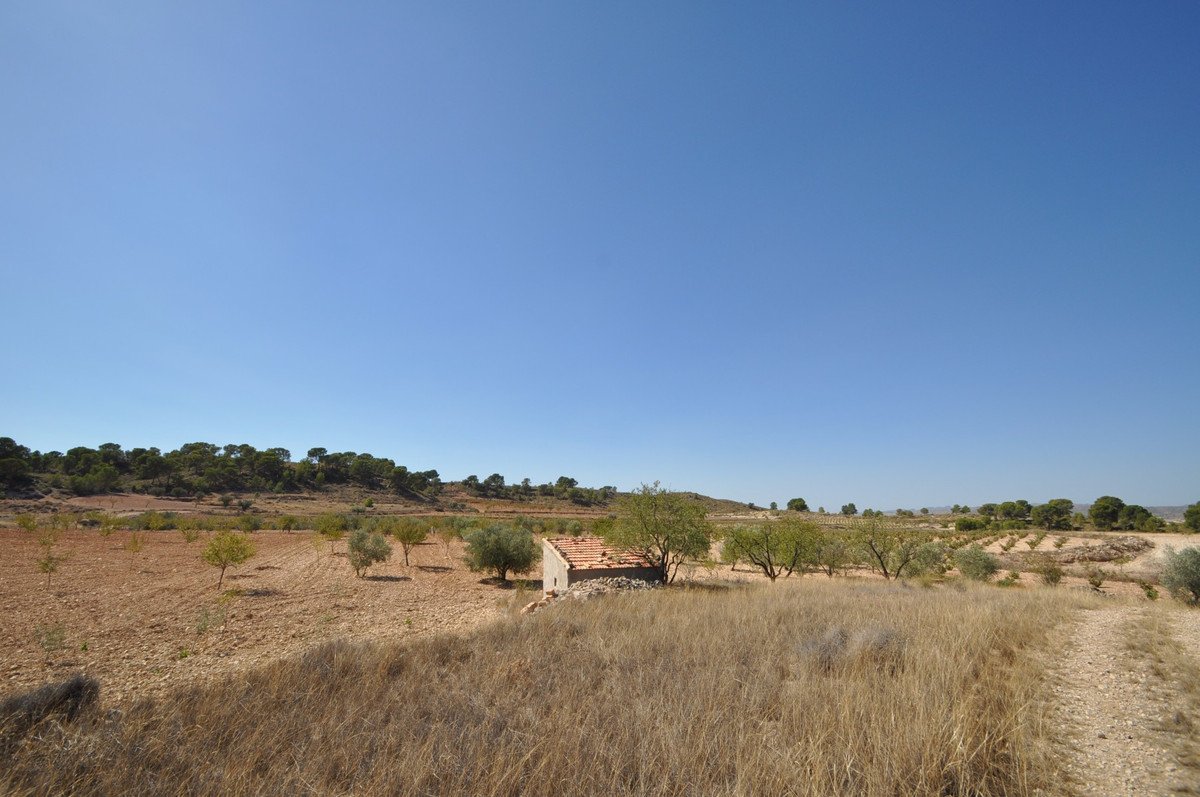 Land in Torre Del Rico في Torre Del Rico, 