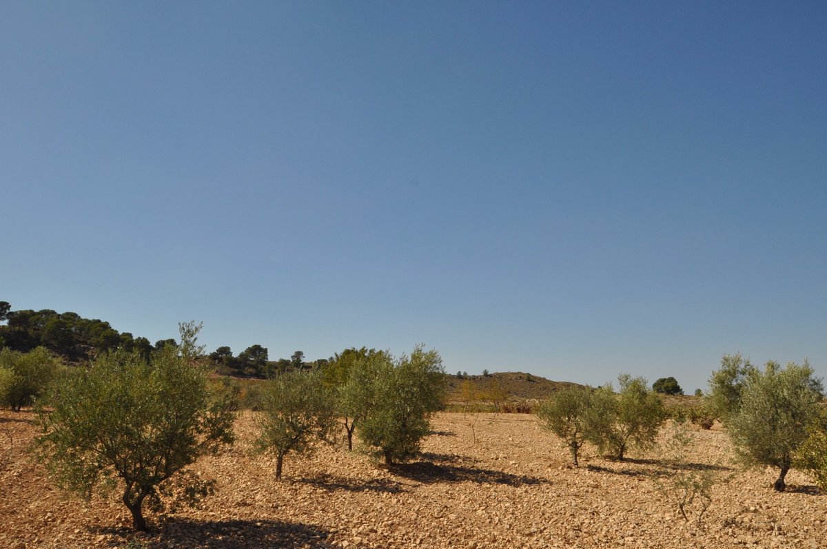 02 photo