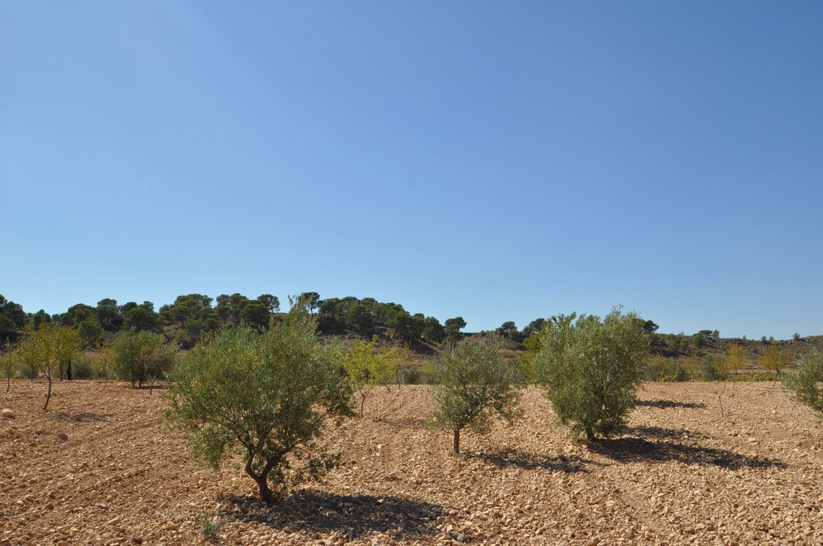 05 photo