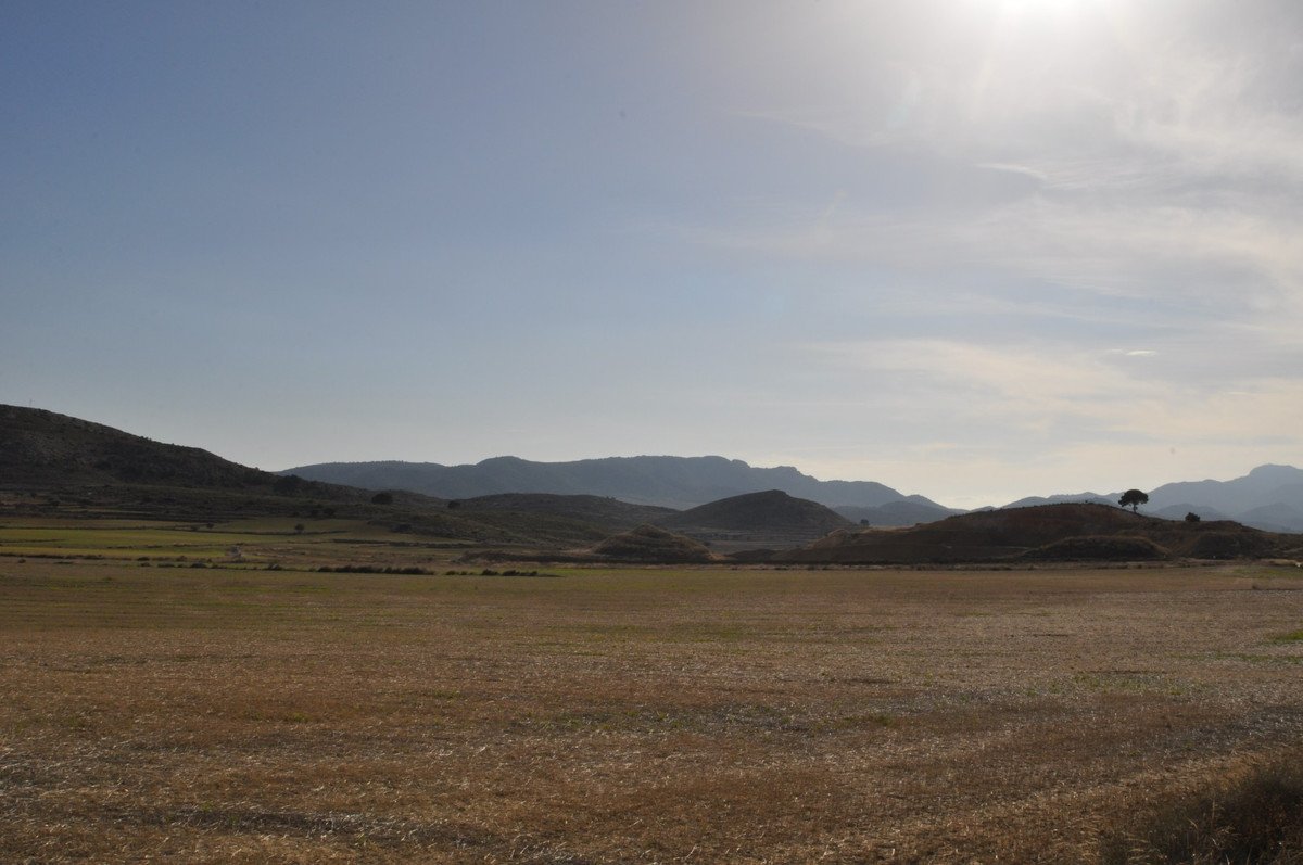 Land in Torre Del Rico in Torre Del Rico, 