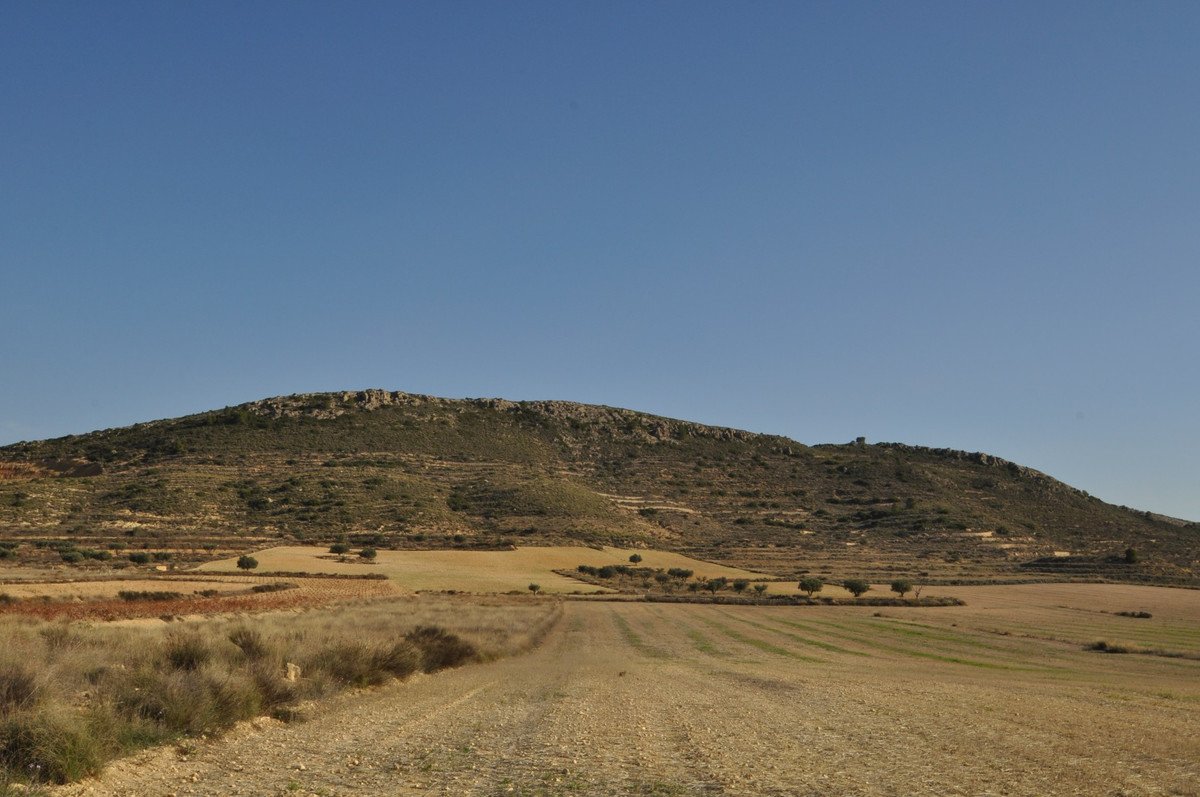 05 photo