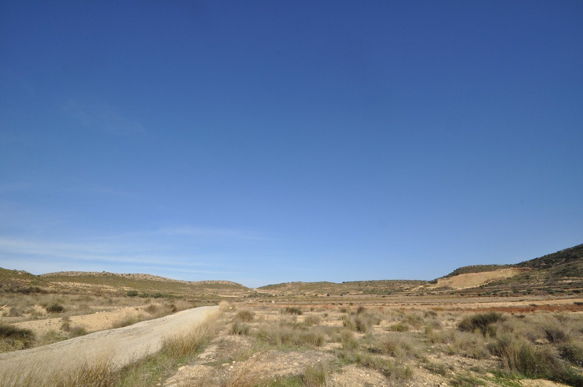 06 photo