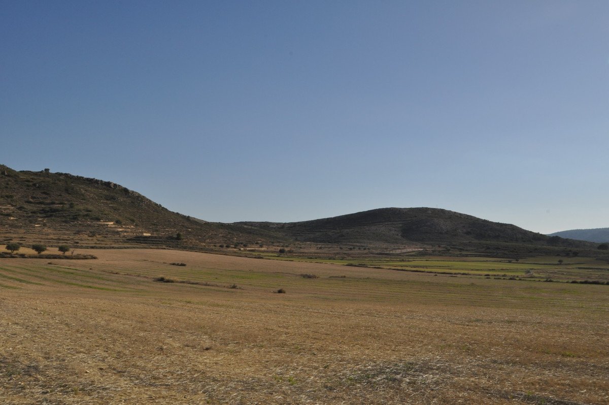 07 photo