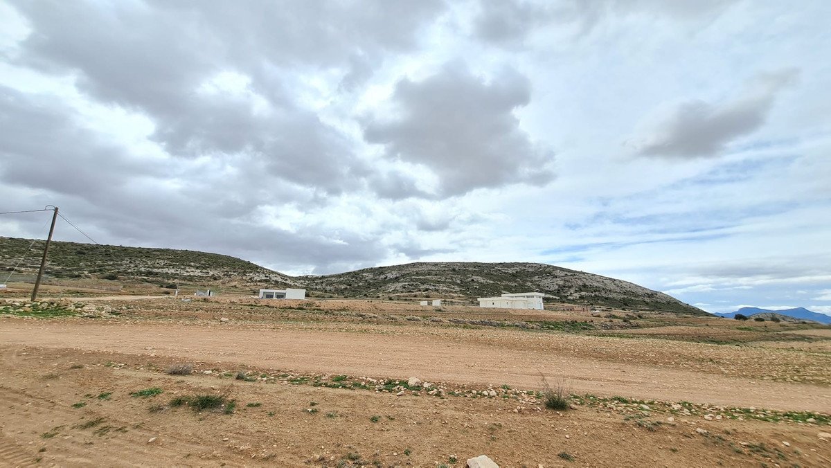 05 photo