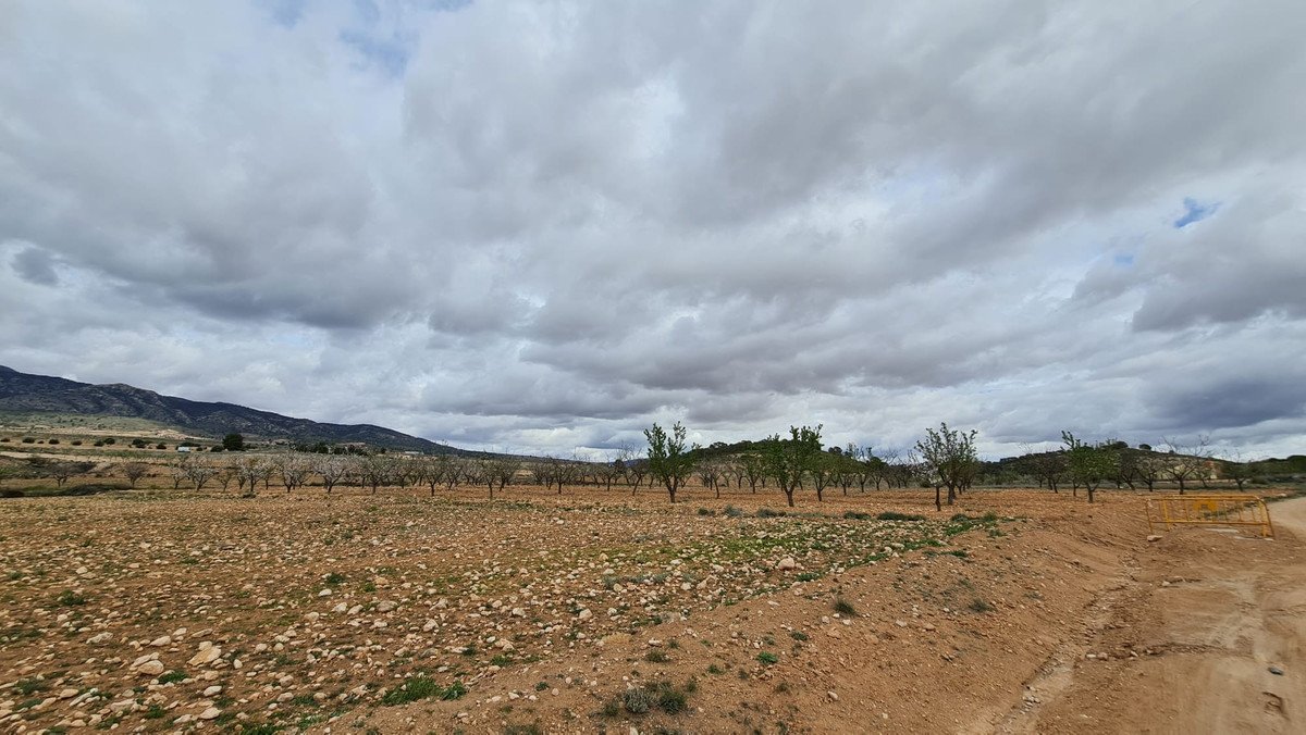 07 photo