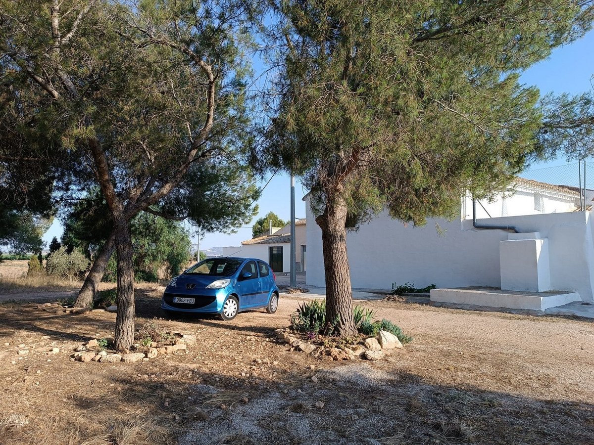 06 photo