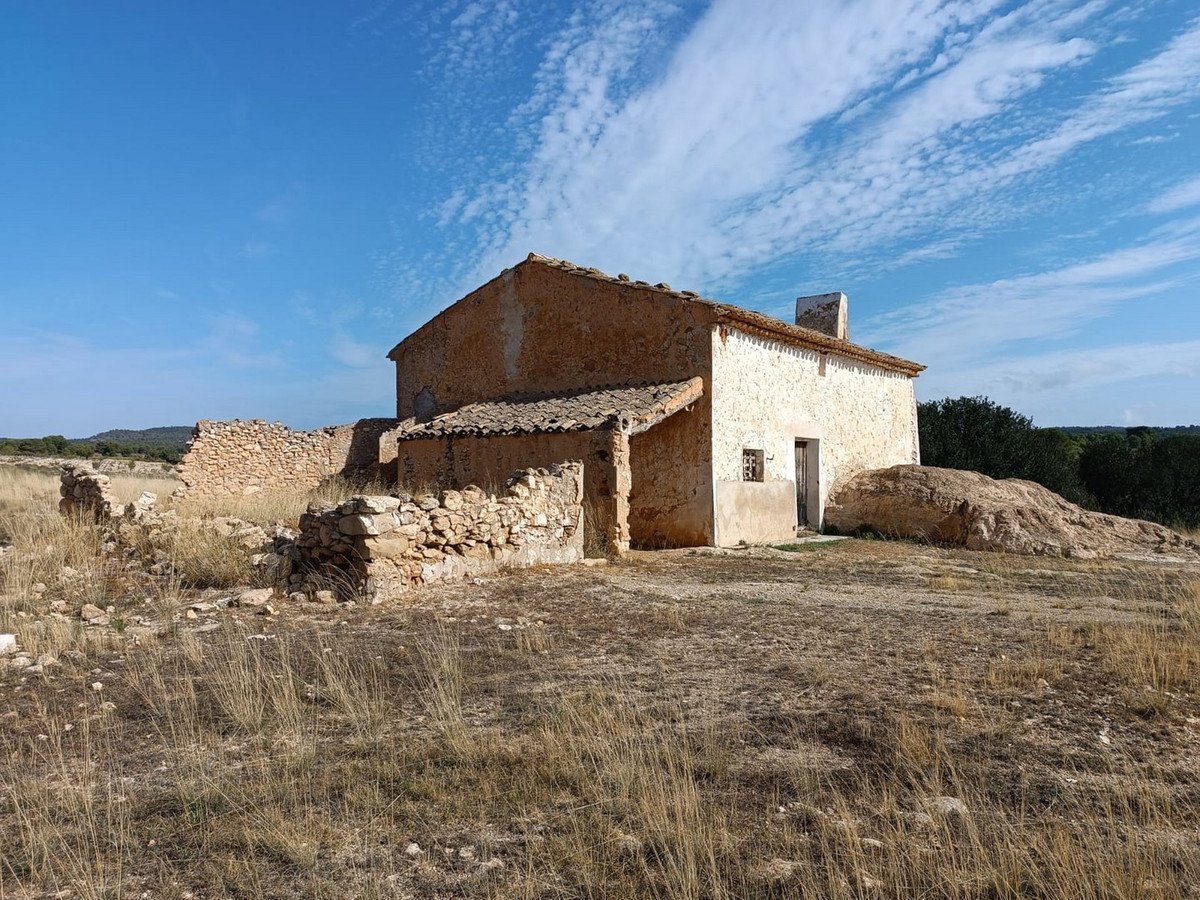 06 photo