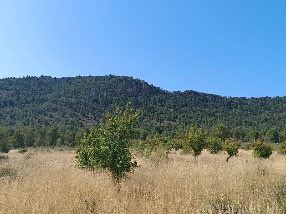 3 Bed Finca - Cortijo in Yecla in Yecla, Finca - Cortijo