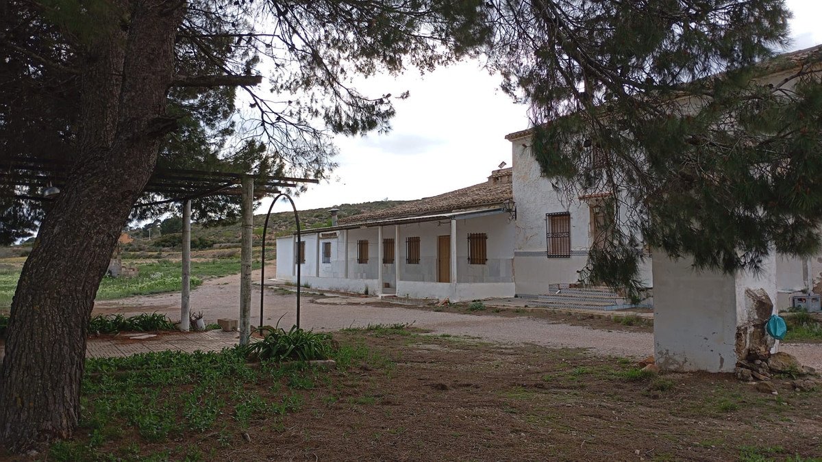 03 photo