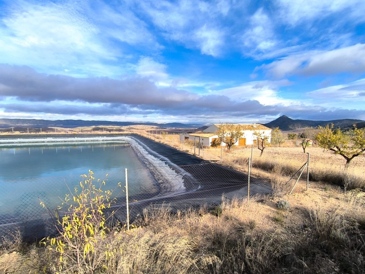 5 Bed Finca in Yecla in Yecla, 