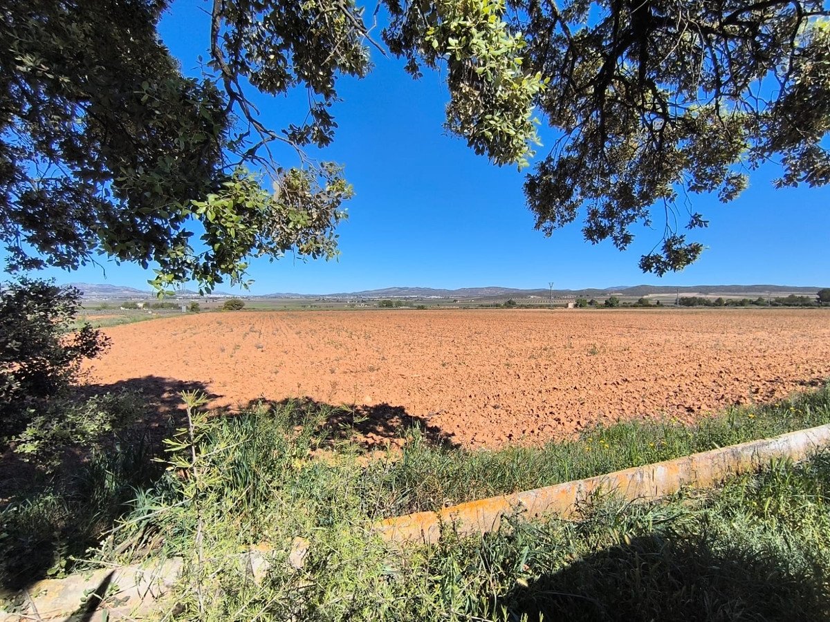 Land in Yecla in Yecla, Land