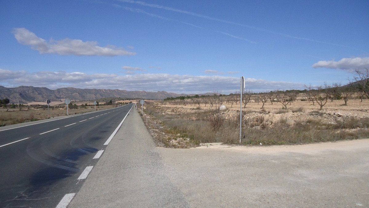 04 photo