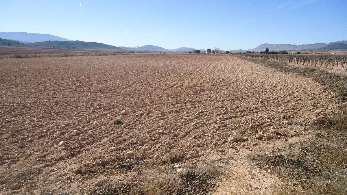 Land in Yecla in Yecla, 