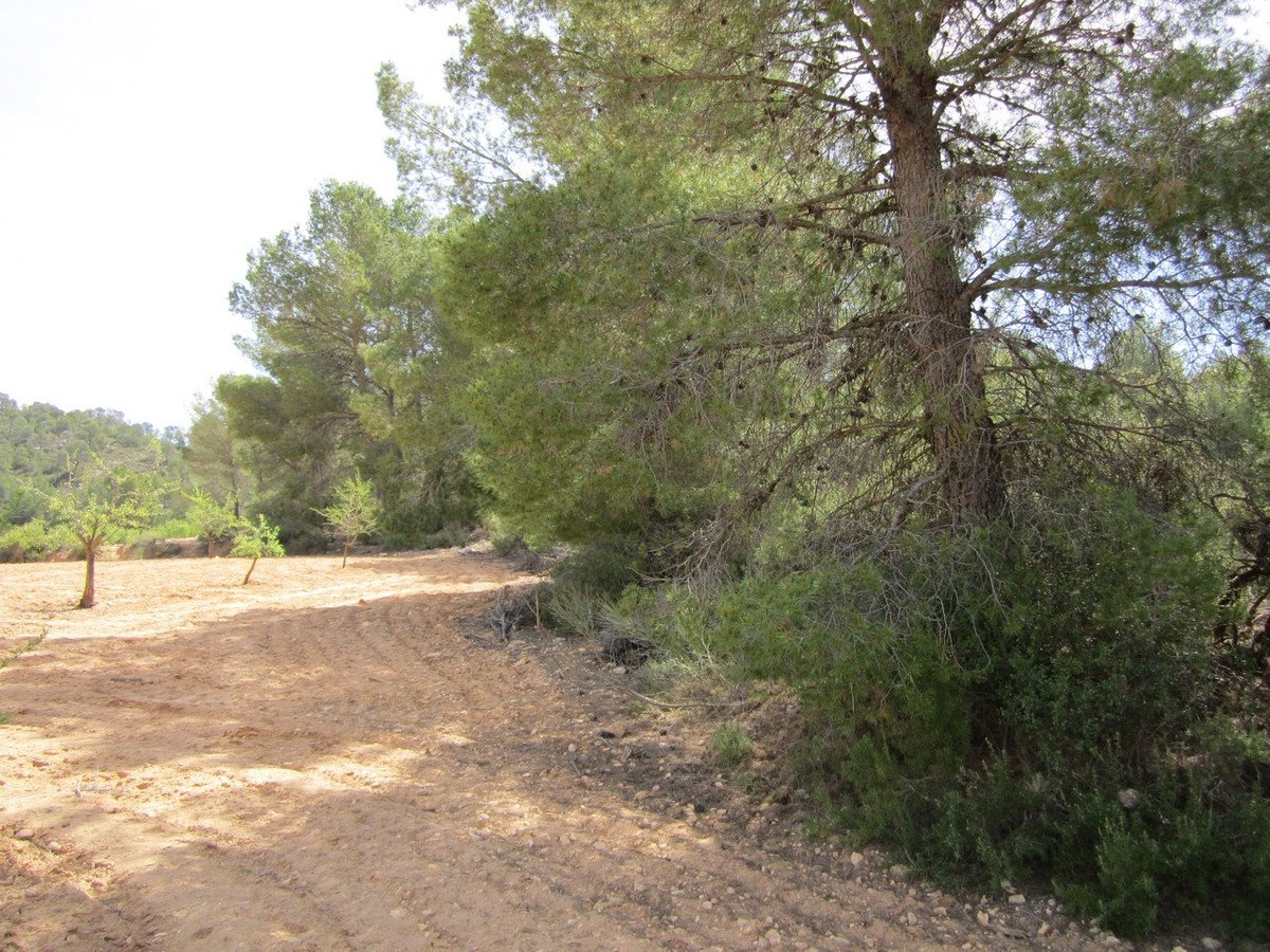 05 photo