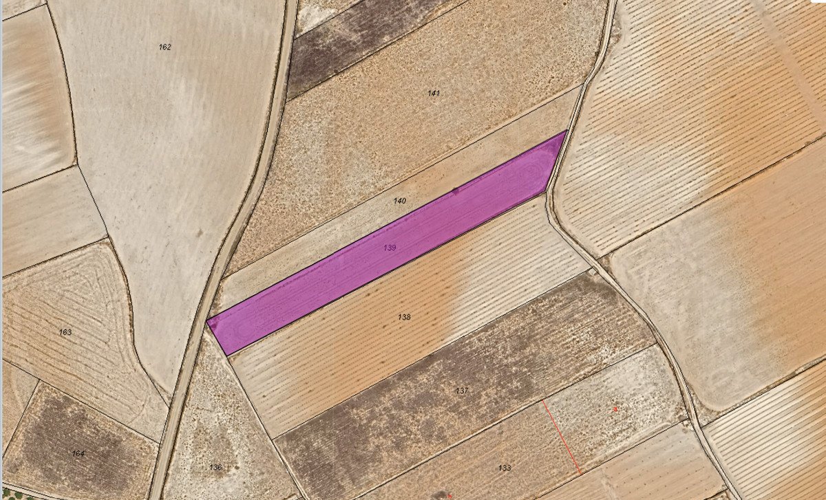Land in Yecla في Yecla, 