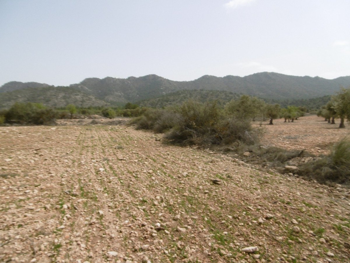 02 photo