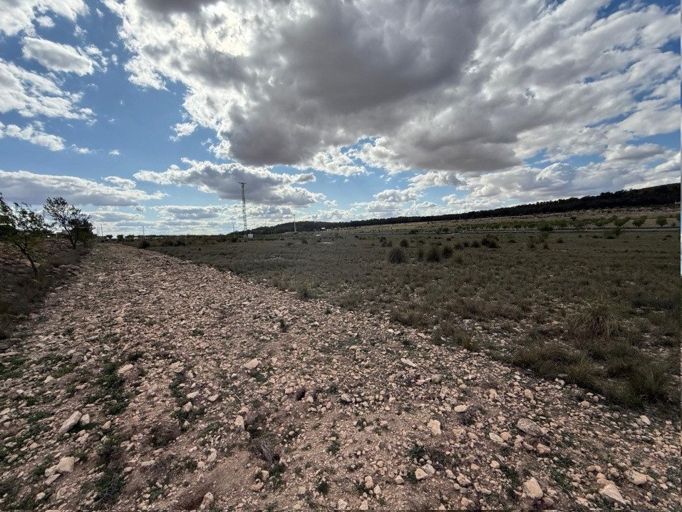 Land in Yecla in Yecla, 