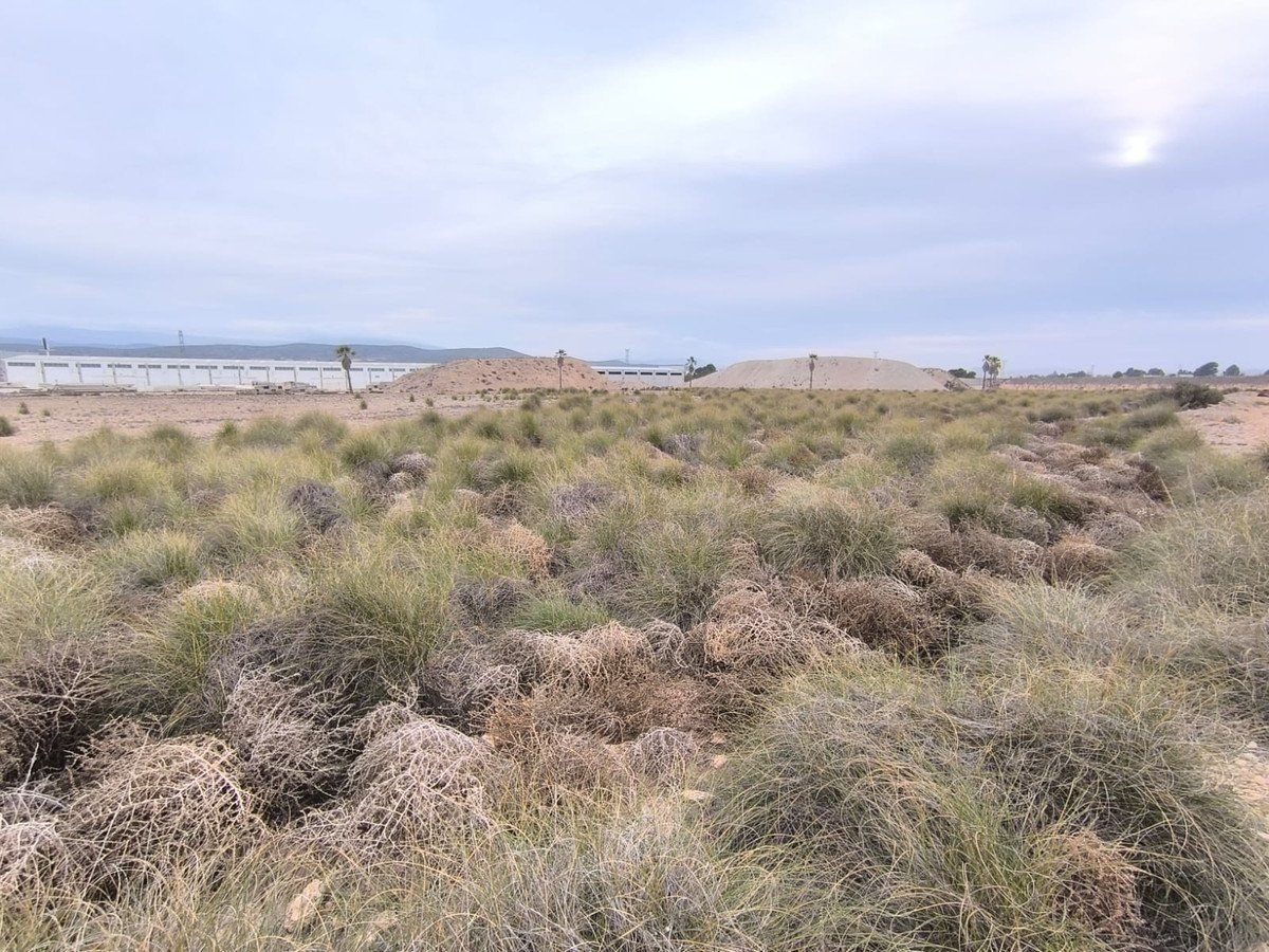 Land in Yecla in Yecla, 