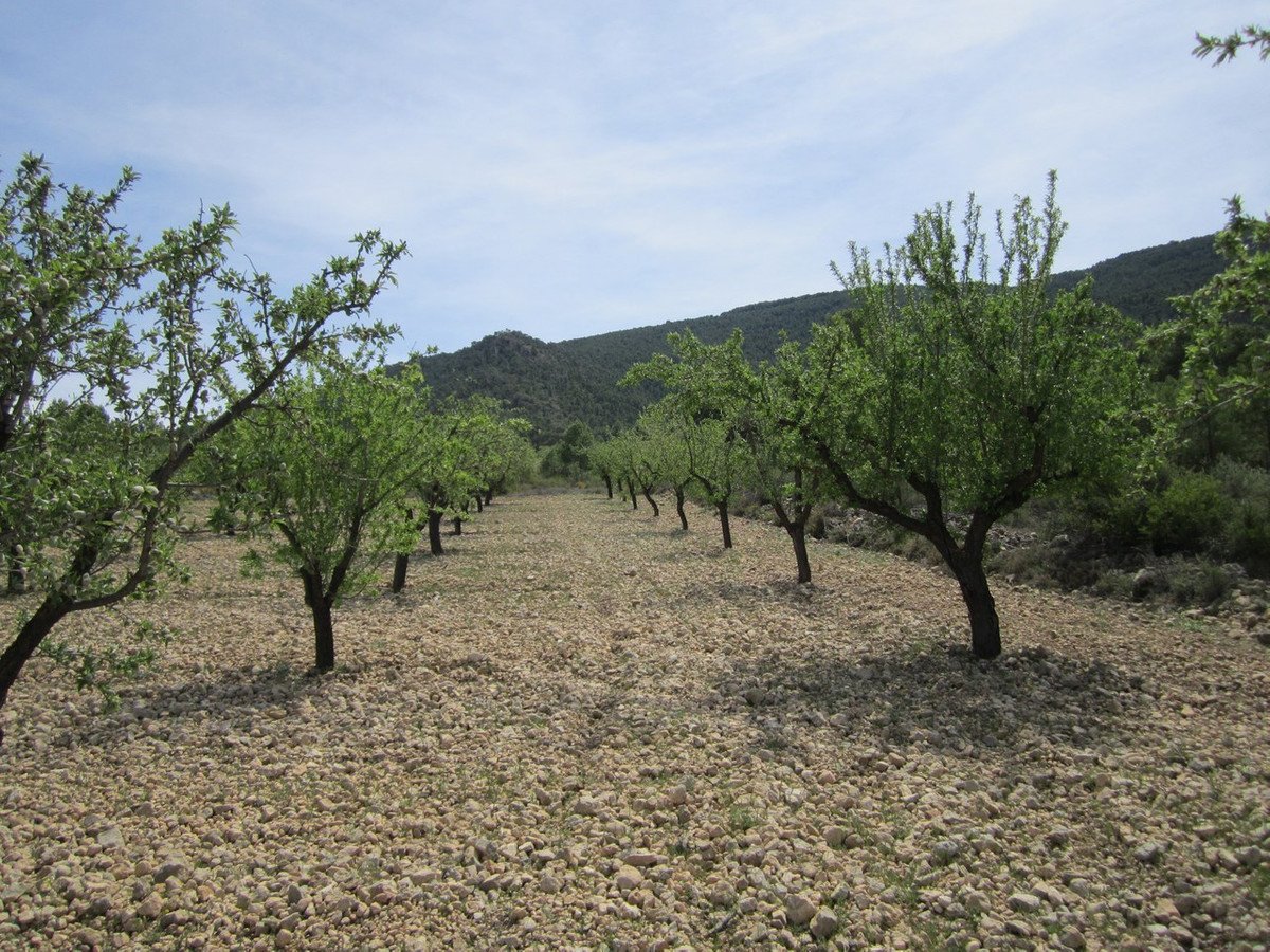 02 photo