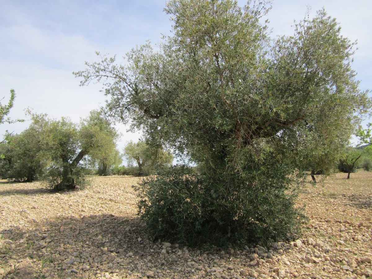 06 photo