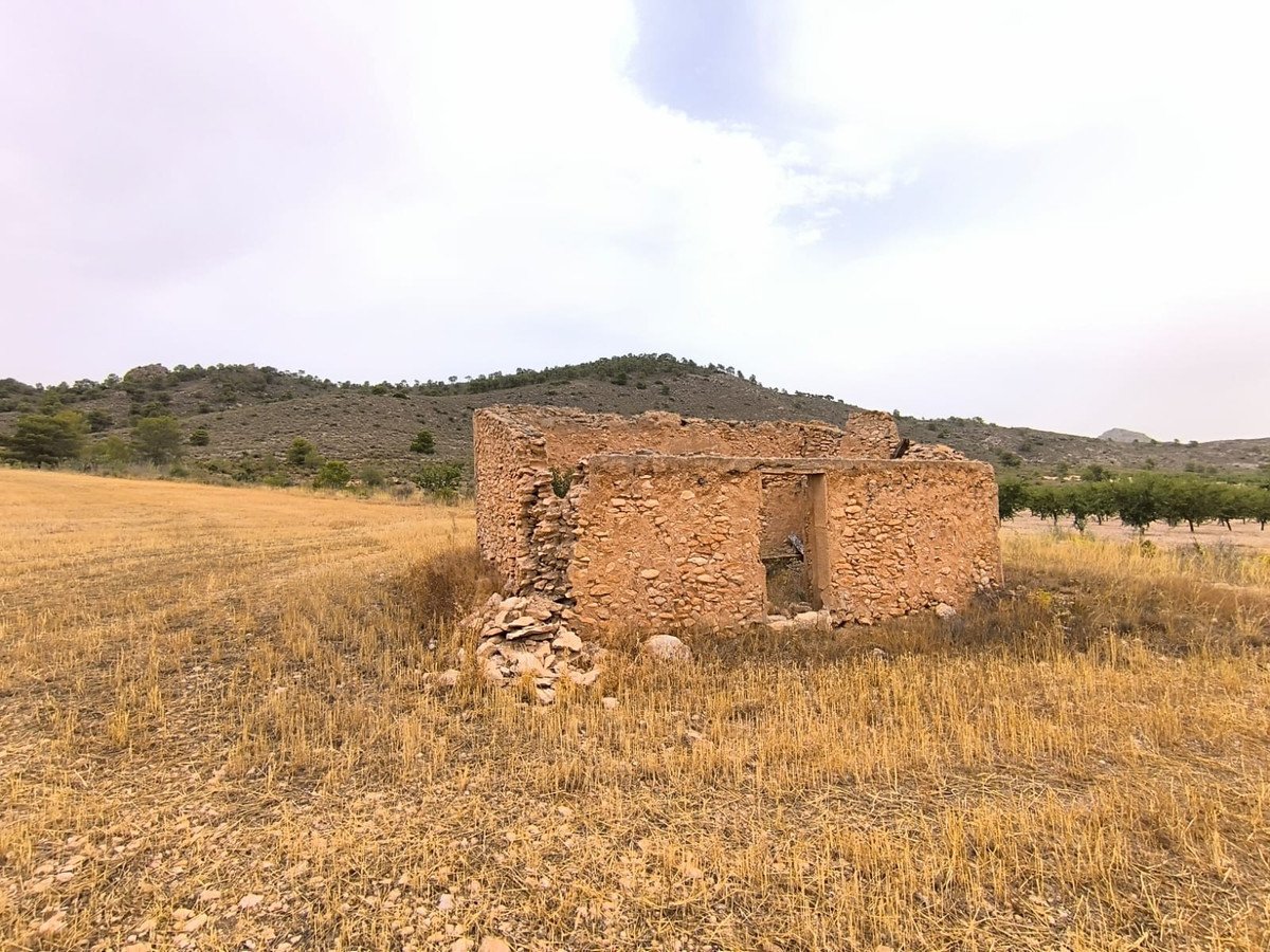 02 photo