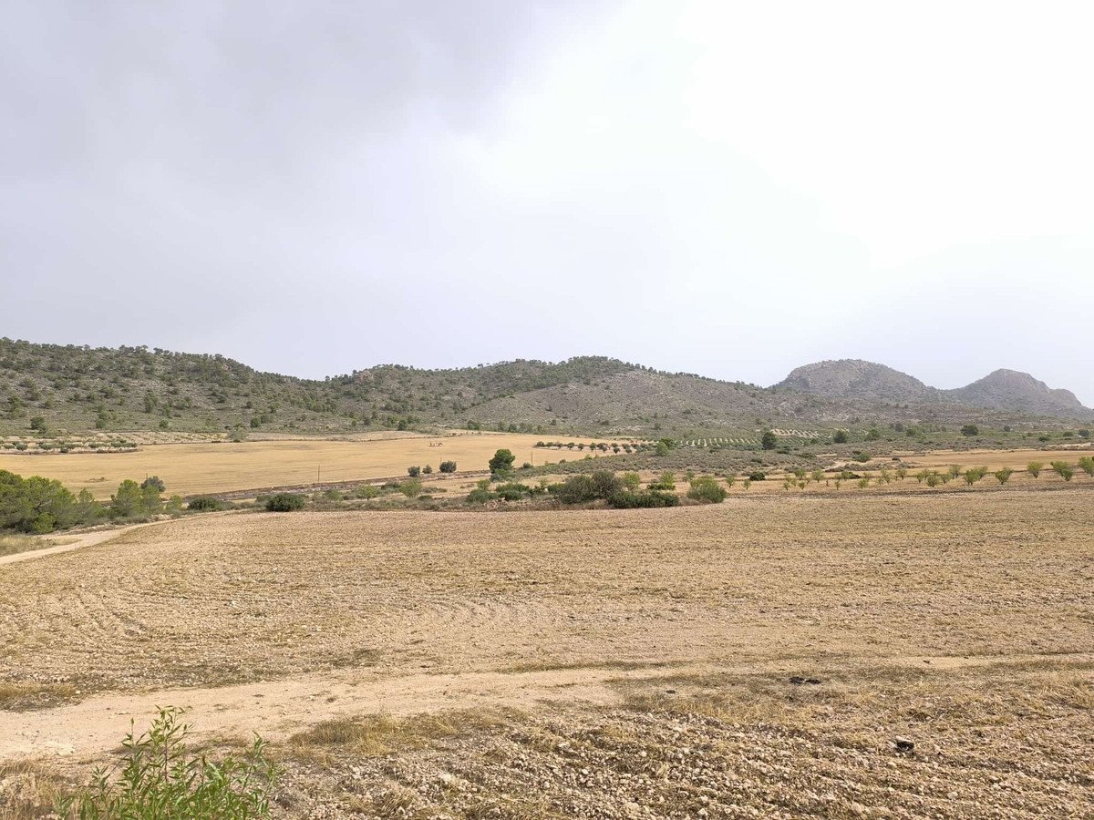 03 photo