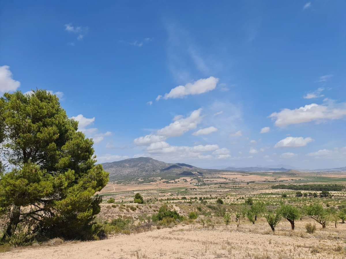 Land in Yecla in Yecla, 