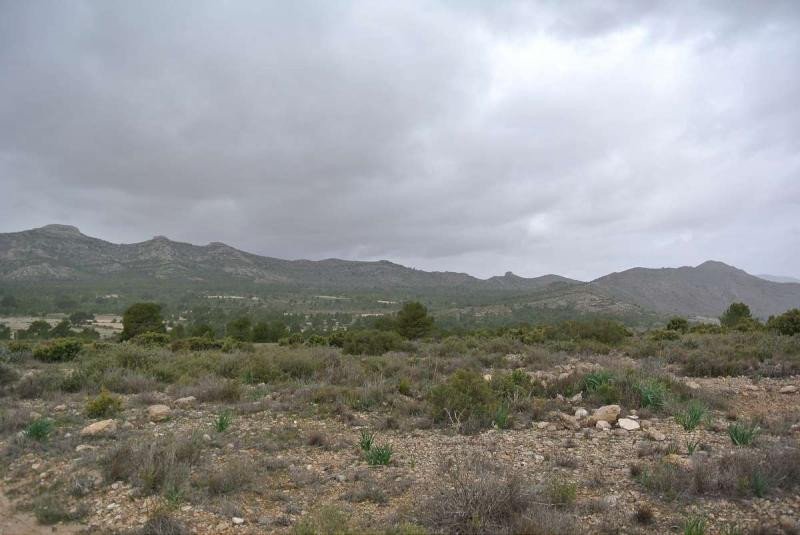 Land in Yecla in Yecla, 
