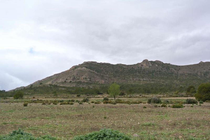 06 photo