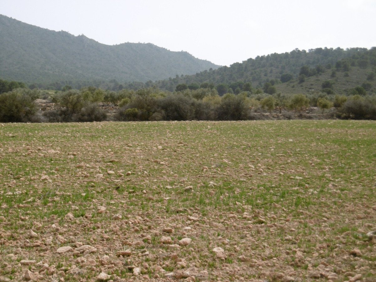 02 photo