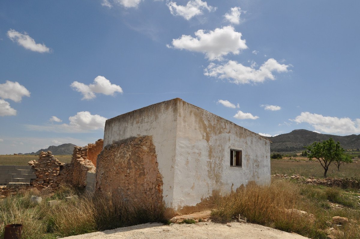 06 photo