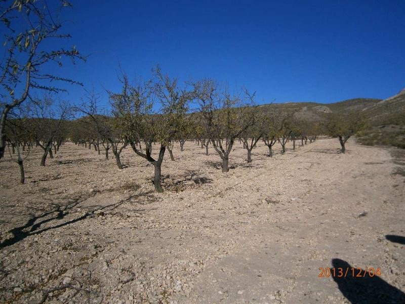 03 photo