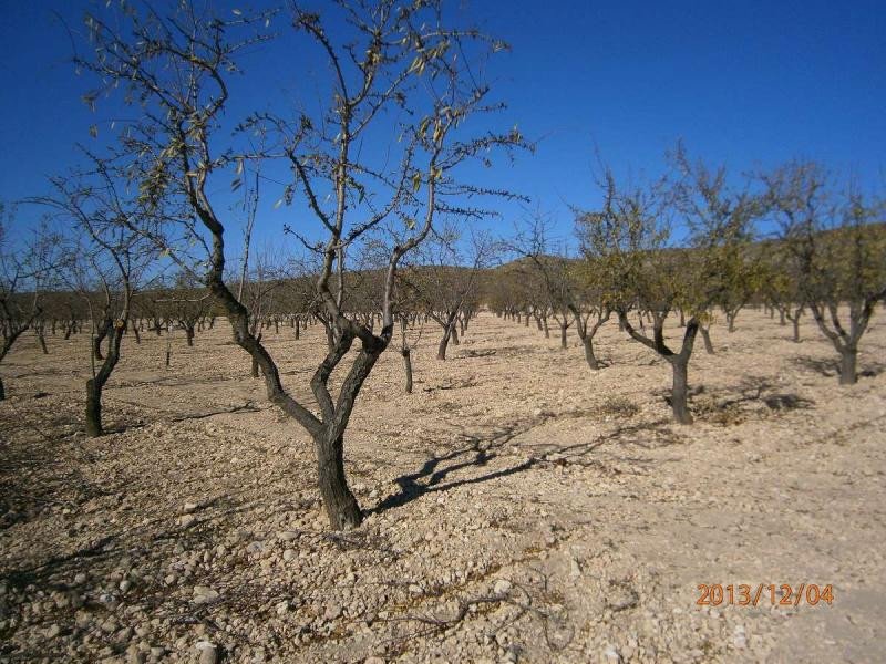 05 photo