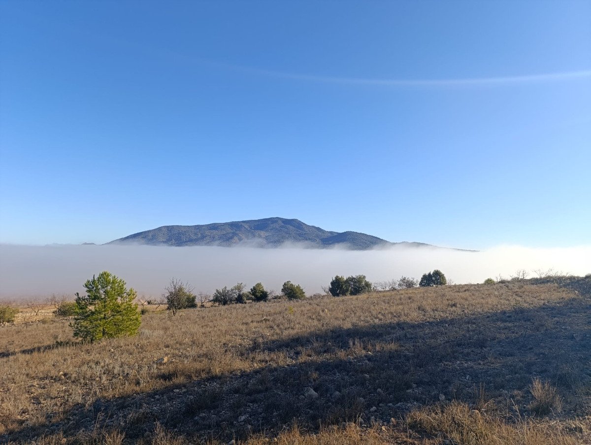 Land in Yecla in Yecla, 